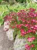 IMG_20230522_154632.thumb.jpg.ea7b5814a8858798e63df890ce917e2b.jpg