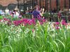IMG_20230523_165614.thumb.jpg.082d1a5aaf0afb9c9d7f11a3274b36fb.jpg