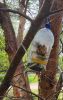 IMG_20230526_002455.thumb.jpg.3124c6ced77b85b4f02296246b8ae9fa.jpg