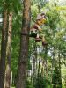IMG_20230527_123726.thumb.jpg.94910d36a37f7ed38032156f2e94aaf0.jpg