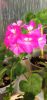 IMG_20230601_184551.thumb.jpg.4f5973d0c26b19988908a15e7c96c9d9.jpg