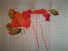 IMG_20230604_082022.thumb.jpg.e0a68a9393eb5e8312bed43e61967ec7.jpg