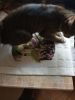 IMG_20230604_091948.thumb.jpg.d9975170d1060bd596e2be68b7c927a1.jpg