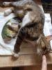 IMG_20230604_091959.thumb.jpg.0d5d87d8475536c8223ca454721ff8f0.jpg