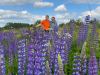 IMG_20230610_151024_412.thumb.jpg.03cb96edd1e47a9268919d3682a0efb2.jpg