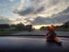 IMG_20230610_201749.thumb.jpg.e6e19d6dbb1c45e23d2fcfcdf000c30f.jpg