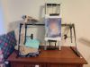 IMG_20230612_072955.thumb.jpg.cda2806a2c8a0bd3d3b1a176cb382ea2.jpg