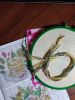 IMG_20230612_090233.jpg
