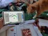 IMG_20230613_185846.thumb.jpg.290cf3fbc70ee60b727f64cdfdfcc489.jpg