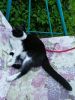 IMG_20230616_175315.thumb.jpg.e3b108460b3e3e30d19f416d09945598.jpg