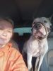 IMG_20230618_192743.thumb.jpg.64d2f83b7015270ca697c3b35b807cf0.jpg