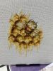 IMG_8765.thumb.jpeg.594ffa73c5aeed896dc7628379844122.jpeg