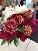 IMG_8867.thumb.jpeg.1aac8d80268ab0936a96ba08d11082a0.jpeg