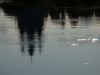 P1100024.thumb.JPG.6b7ef1fcec98a4ffe17a504d99807fd0.JPG
