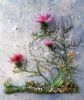 Rosa-Andreeva-222222222.thumb.jpg.7dab87ea6c44cc16883d66b77aec0657.jpg