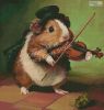 miniguineapigplayingviolin_MED.thumb.jpg.e2fe316347efe027c5611bd3a0934925.jpg