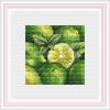 11554196_Lime.thumb.jpeg.b4083015ff3dfa3afe430cb1e9bd30ac.jpeg
