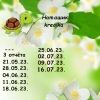 116626578_14.thumb.jpeg.ffd21e1b6c95a5e594bafbcc3da82a36.jpeg
