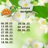 1253477853_1.thumb.jpeg.915eccc60b195ee1e4d2c324bab20929.jpeg
