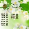 12855873_9.thumb.jpeg.c70a1e1cf800b46e66da5fa308b8ccbb.jpeg