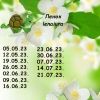 1345105304_9.thumb.jpeg.9c231854c0d89ddd3d70052e91d0657b.jpeg