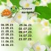 1436625791_1.thumb.jpeg.be44b8a1380bb65569861caead660151.jpeg