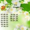 1908373681_15.thumb.jpeg.d6ac7fedcb76fa0912ff672538f3b4bc.jpeg