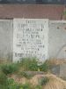 20230629_113325.thumb.jpg.7dbbe8bc239a1790a6ea1df4fccbdc8a.jpg
