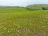 20230629_131359.thumb.jpg.7072444536061d87b4bf4272441b5f26.jpg