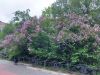 20230630_000616.thumb.jpg.b1879c409acd9c11e542e50daa685117.jpg