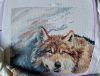 20230717_175443.jpg.ac8ce68d125455df6344d816940bbfd0.thumb.jpg.fff24ad8ed87549dd14ace4ea2210898.jpg