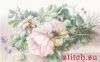 Lanarte PN-0147588, Peonies and Morning Glory