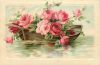 560504337_.thumb.jpg.fcccbc00414c31df0c2f895715c5f5a4.jpg
