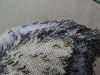 77F57FFC-B265-4CC5-88CC-EBCDD985ABFA.jpeg