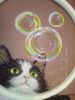 BB4EC696-73D0-4F1C-AD43-DF81AE396EE6.thumb.jpeg.aae7545fc38e7ff6548f2400db0a3d82.jpeg