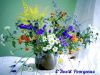 D4E54281-72FB-4A94-8484-432C6ADFCF43.thumb.jpeg.8c76f7e89890d9844d73eb3683188792.jpeg