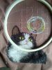 E44D5B7C-6320-4E75-9009-DE6C7E2CF0D2.thumb.jpeg.2000a3cf9ea83bb7ef091d84d6e2f6c4.jpeg