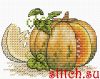 E61853EE-C22C-4ED1-A700-C3199BE2C595.thumb.jpeg.ebf3336d5539afefafec9462148c0845.jpeg