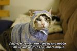 Аватар Мокрый дождь