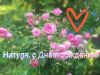 IMG-20230702-WA0003.jpg