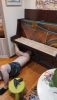 IMG-20230702-WA0009.thumb.jpeg.f4500e612fd476807f1a04bf9af24bc0.jpeg