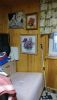 IMG-20230727-WA0013.thumb.jpg.897e9dbaf351faed69db9ca190b81413.jpg