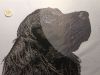 IMG20230706202413.thumb.jpg.be9d17f4b03a0bffe7f6f8c07c5e60f8.jpg