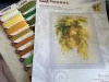 IMG_0137.jpeg