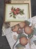 IMG_1330.jpeg