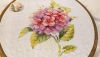 IMG_20230109_064850.thumb.jpg.dae9186652ce6a7de6b0b78c1bee2359.jpg