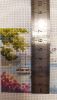 IMG_20230322_155119.thumb.jpg.84dca6e9e5623bce5d16bf4147b88a9b.jpg