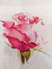 IMG_20230621_155253_compress14.thumb.jpg.75b9925643933c7e0cde9e79e0dac63b.jpg