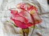 IMG_20230626_173412_compress6.thumb.jpg.942b1b1751f3394923d1721b9930bfbe.jpg?1688234122775