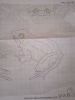 IMG_20230701_171850.thumb.jpg.54a3615f320290a57ad863de16d074f2.jpg
